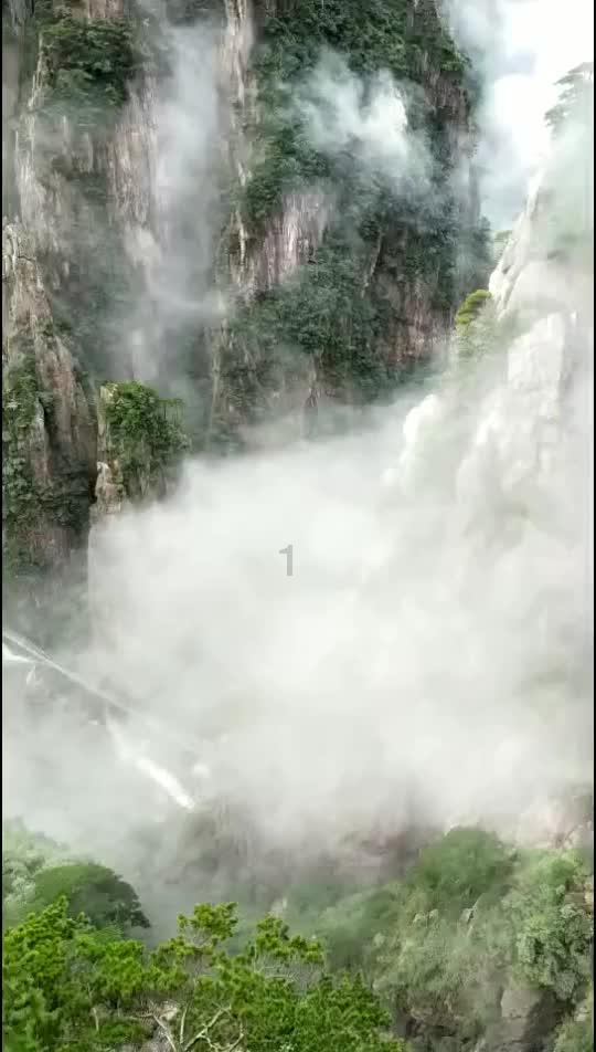 空洞骑士